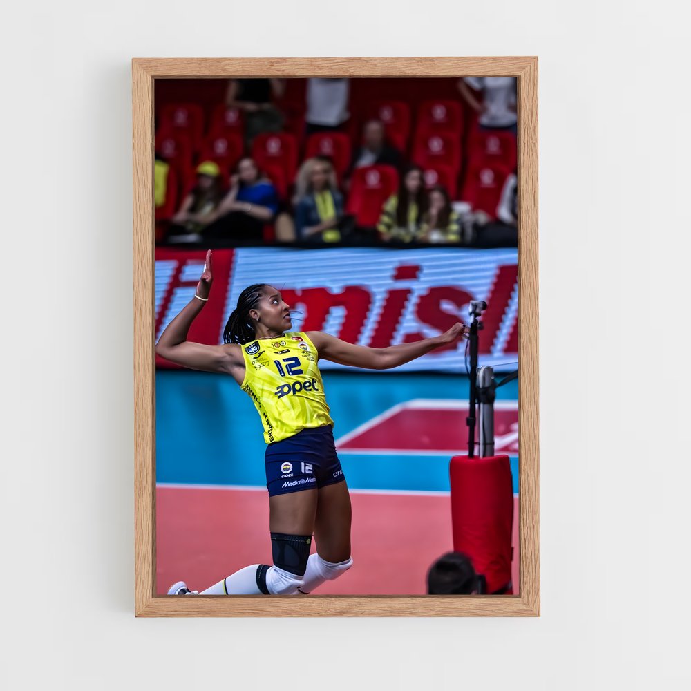 Poster Ana de cristina souza – affiche Volleyball (vue 4)